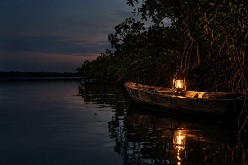A wooden boat with a single lantern on a still dark lagoon at dusk, mangroves behind, the lantern's gold reflected in the water