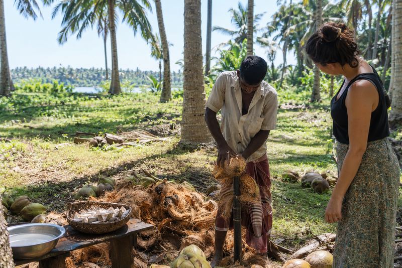 A worker husking coconuts in a sunny grove for a visitor