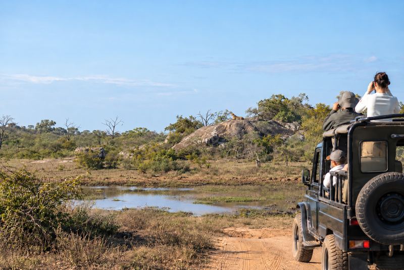 A safari jeep watching a distant leopard on a rock in Yala