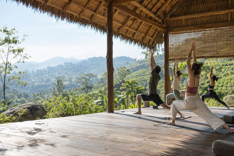 A yoga class in an open pavilion facing sunny tea slopes