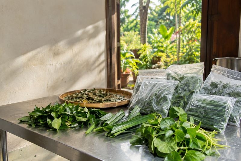 Fresh, frozen and dried Sri Lankan herbs on a steel table