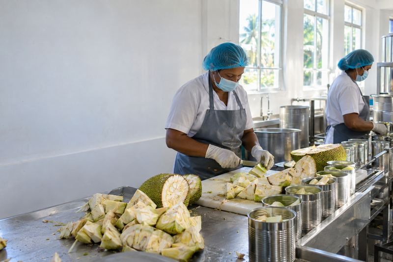 Workers cutting young jackfruit for canning in a bright factory