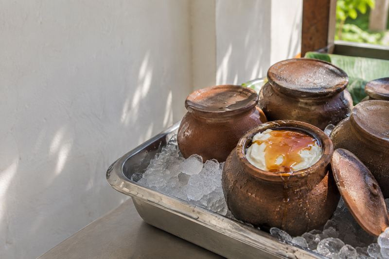 Buffalo curd with kithul treacle in clay pots on ice