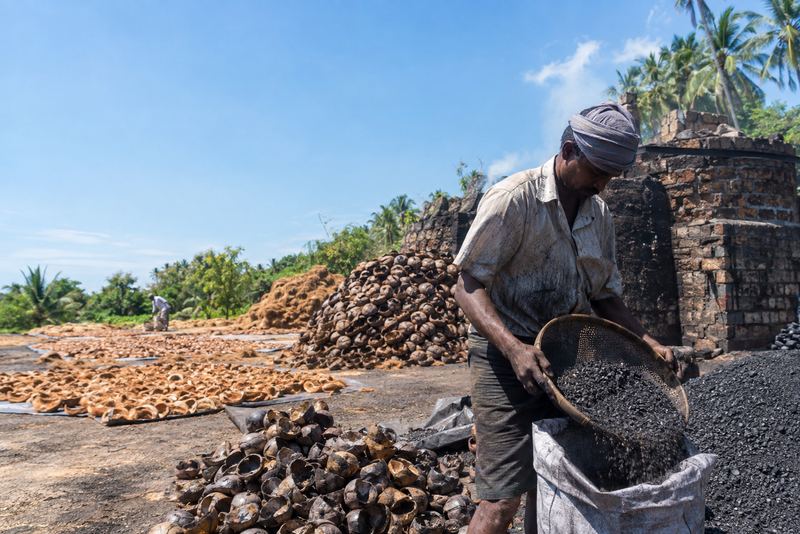 Coconut shell charcoal sieved into sacks in a sunny yard
