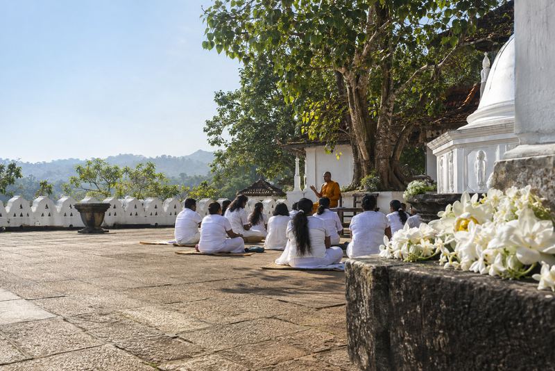 Visitors in white seated in a temple courtyard on a Poya morning