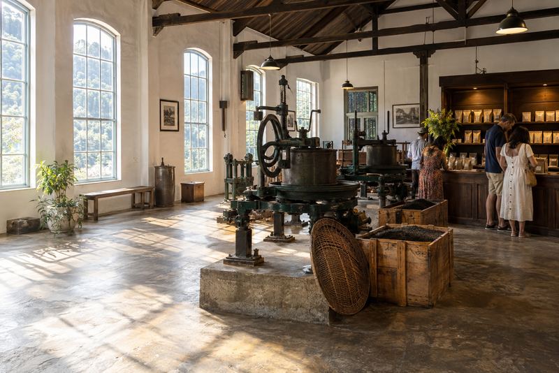 Visitors in a tea museum shop among old rolling machines