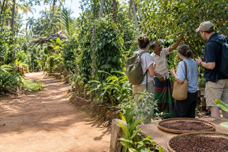 ගාල්ලේ සිට මාතලේ දක්වා, රස බැලීම් සහිත කුළුබඩු සංචාරක මාර්ගයක්, සිතියම් ගත කර එක නිෂ්පාදනයක් ලෙස ප්රචාරය කර