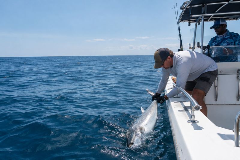 An angler releasing a large fish from a boat at sea