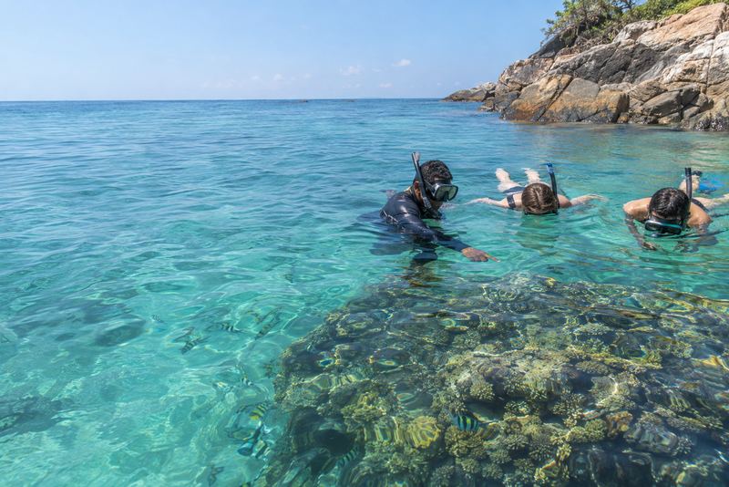 A guide showing snorkellers a coral reef off Pigeon Island
