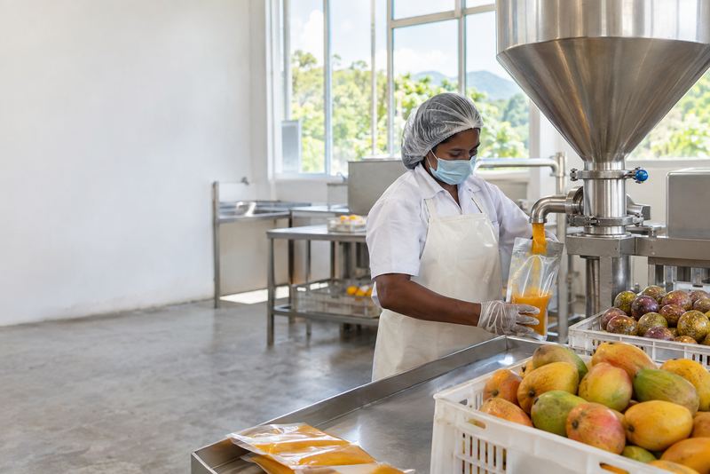 Mango pulp poured into pouches in a bright processing room