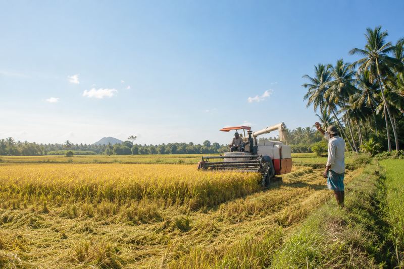 ගොවි යන්ත්ර කුලියට දෙන පොදු එකතු, එවිට අක්කර 2ක ගොවියෙකුට දවසකට අස්වනු නෙළන යන්ත්රයක් ගත හැකිය