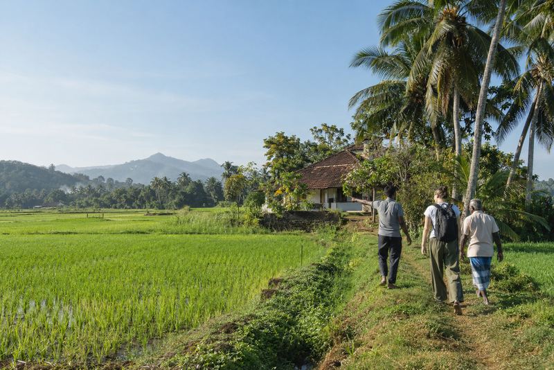 දෙවන පරම්පරාව සඳහා පවුලේ මුල් සොයා යන ගමන්: ආච්චි සීයලාගේ ගම සොයාගෙන, එහි ගොස්, ඒ ගැන පැහැදිලි කර දීම