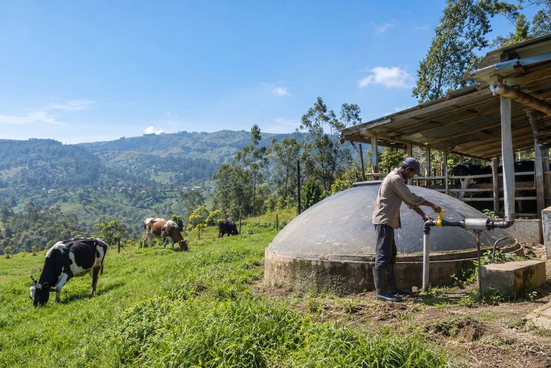 A biogas dome beside a hill dairy farm in sunshine