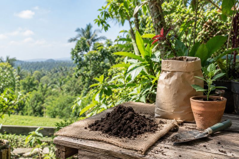 Compost, a soil sack and a seedling on a sunny bench