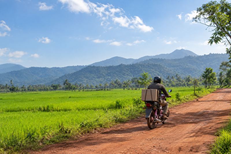 A courier motorbike with a parcel on a sunny paddy road