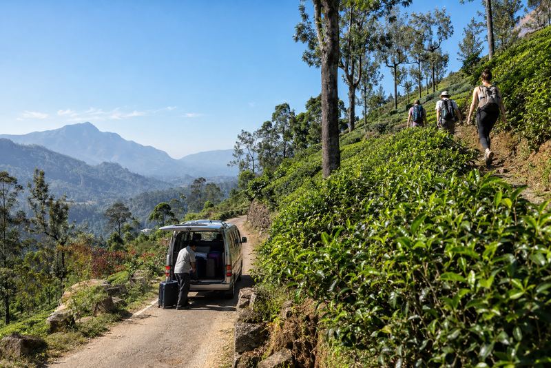 Walkers on a tea path while their bags go by van