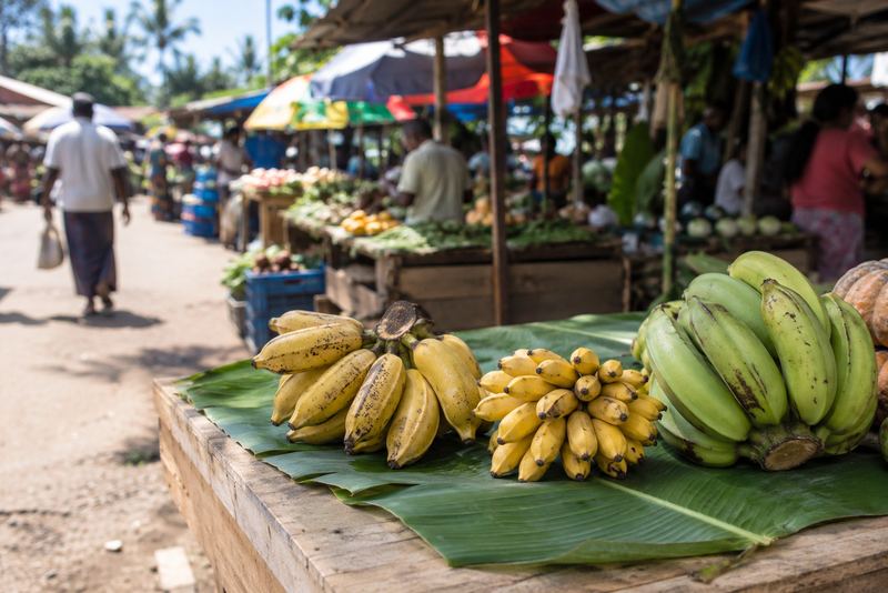 Three kinds of Sri Lankan banana on a sunny stall