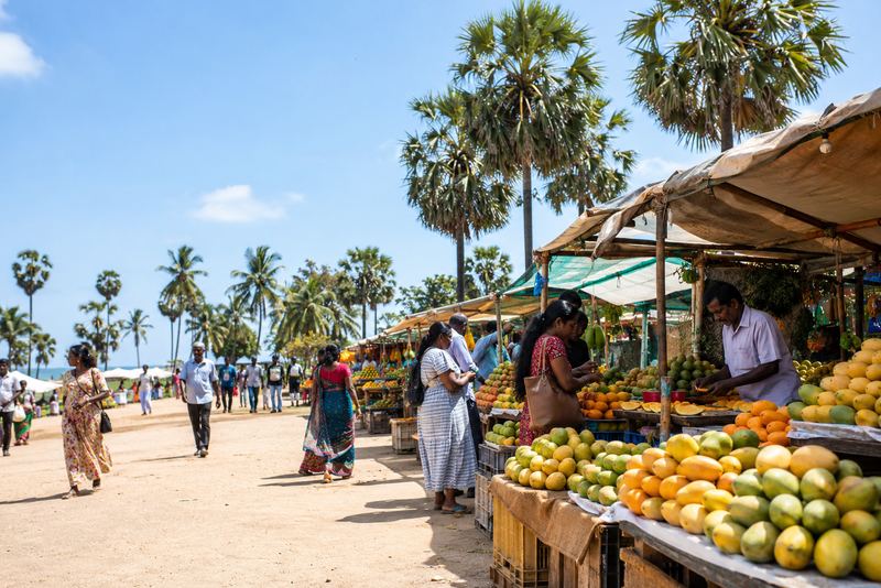 A sunny mango festival under palmyrah palms in Jaffna